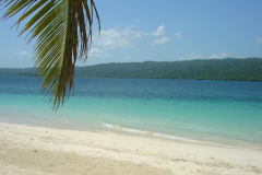 DSC04230