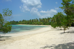 DSC04370