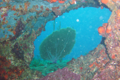 DSC04409