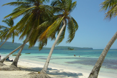 DSC04446