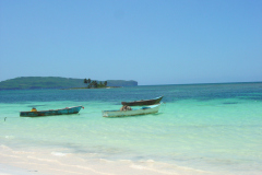 DSC04451