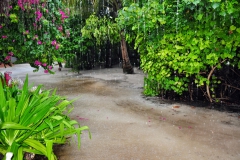 velidhu 450 (Copy)