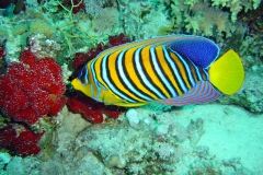 DSC00310