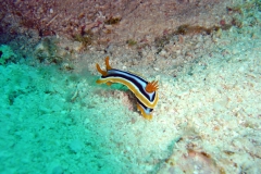 DSC01076